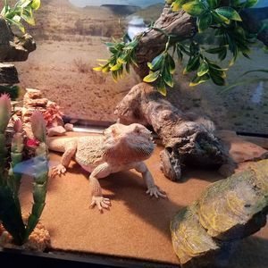 Meet your Posher, Crystal